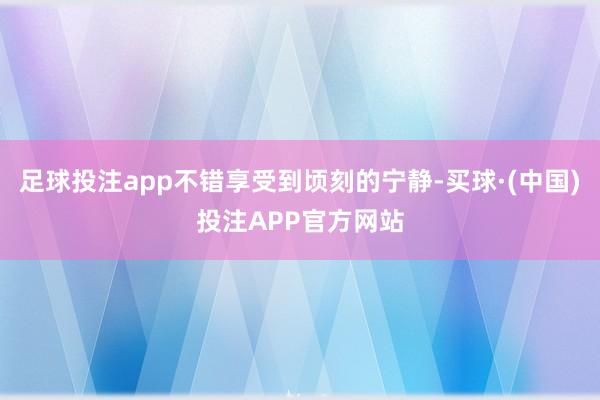 足球投注app不错享受到顷刻的宁静-买球·(中国)投注APP官方网站