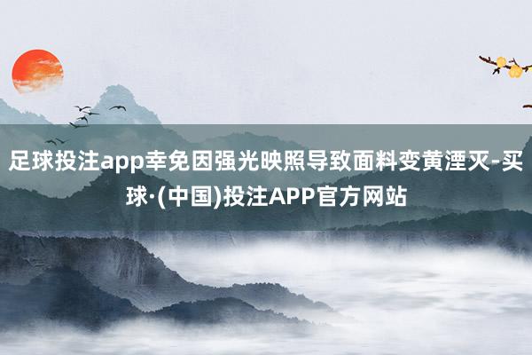 足球投注app幸免因强光映照导致面料变黄湮灭-买球·(中国)投注APP官方网站