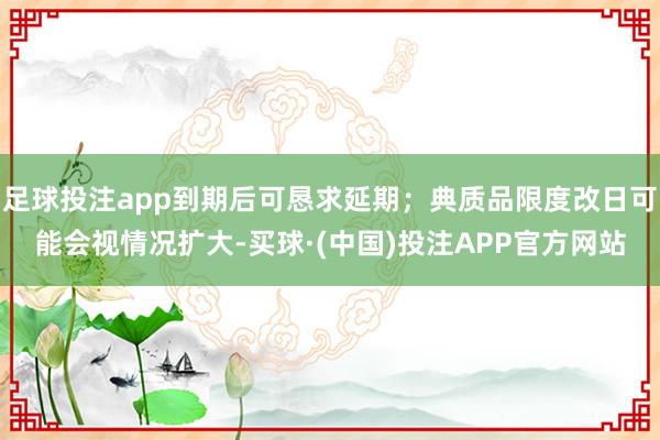 足球投注app到期后可恳求延期；典质品限度改日可能会视情况扩大-买球·(中国)投注APP官方网站