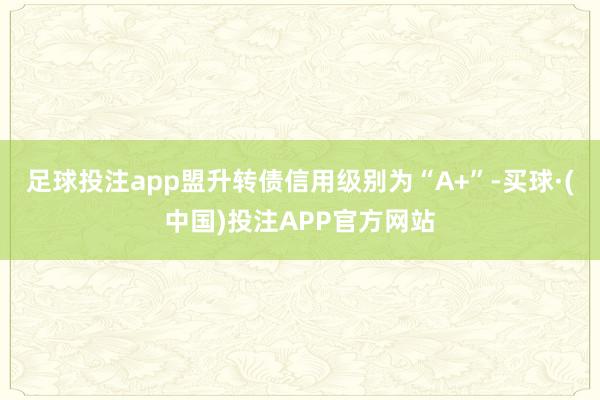 足球投注app盟升转债信用级别为“A+”-买球·(中国)投注APP官方网站