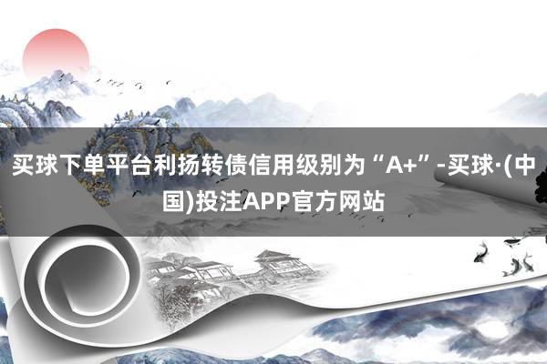 买球下单平台利扬转债信用级别为“A+”-买球·(中国)投注APP官方网站