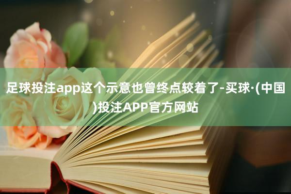 足球投注app这个示意也曾终点较着了-买球·(中国)投注APP官方网站