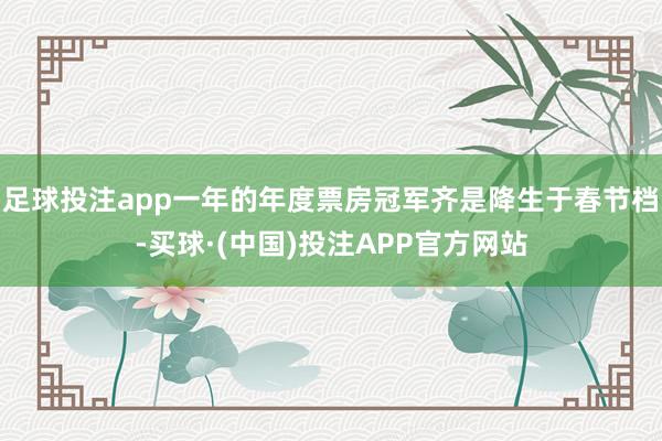 足球投注app一年的年度票房冠军齐是降生于春节档-买球·(中国)投注APP官方网站