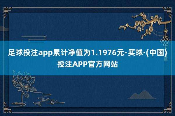 足球投注app累计净值为1.1976元-买球·(中国)投注APP官方网站