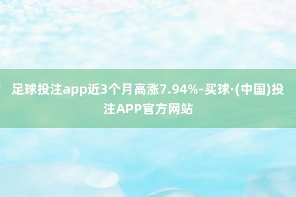 足球投注app近3个月高涨7.94%-买球·(中国)投注APP官方网站