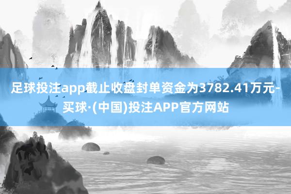 足球投注app截止收盘封单资金为3782.41万元-买球·(中国)投注APP官方网站