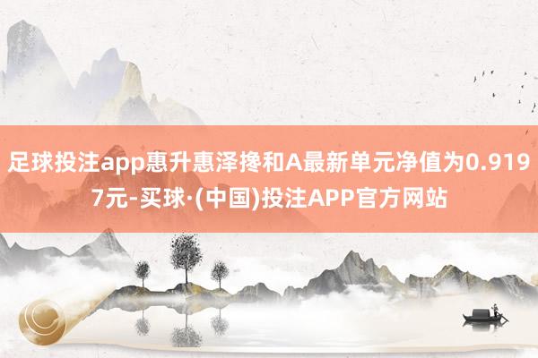 足球投注app惠升惠泽搀和A最新单元净值为0.9197元-买球·(中国)投注APP官方网站