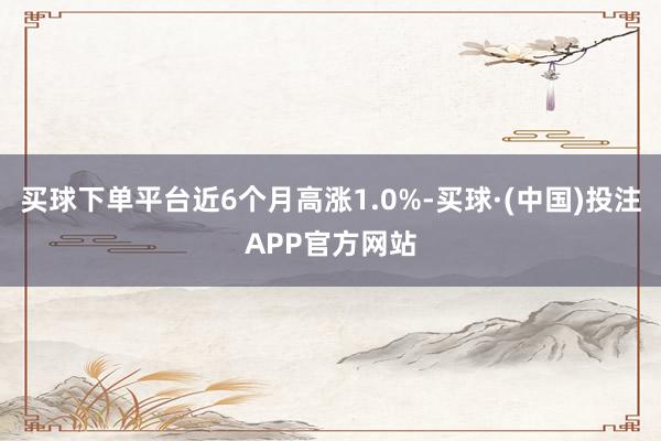 买球下单平台近6个月高涨1.0%-买球·(中国)投注APP官方网站