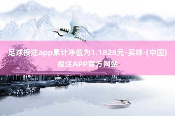 足球投注app累计净值为1.1828元-买球·(中国)投注APP官方网站