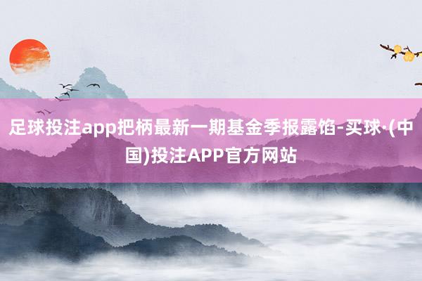 足球投注app把柄最新一期基金季报露馅-买球·(中国)投注APP官方网站