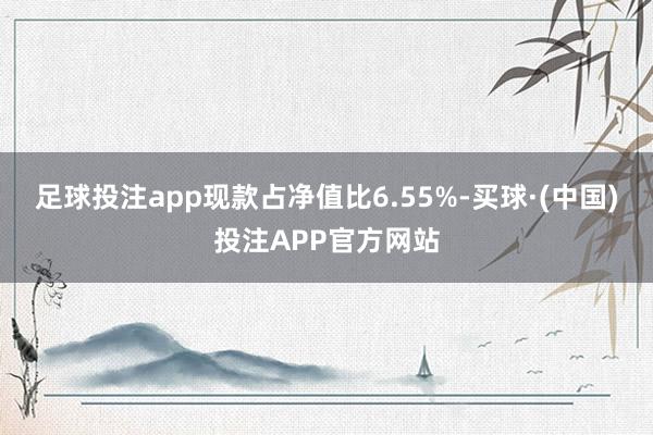 足球投注app现款占净值比6.55%-买球·(中国)投注APP官方网站