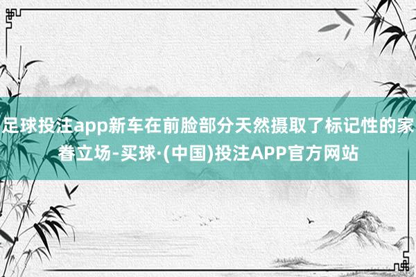 足球投注app新车在前脸部分天然摄取了标记性的家眷立场-买球·(中国)投注APP官方网站