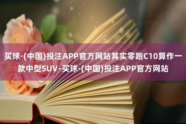 买球·(中国)投注APP官方网站其实零跑C10算作一款中型SUV-买球·(中国)投注APP官方网站