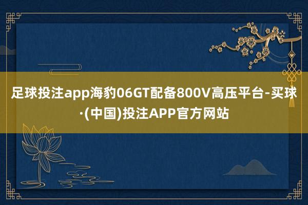 足球投注app海豹06GT配备800V高压平台-买球·(中国)投注APP官方网站