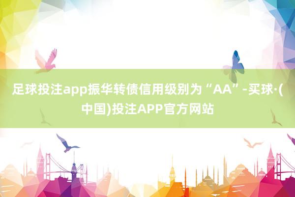 足球投注app振华转债信用级别为“AA”-买球·(中国)投注APP官方网站