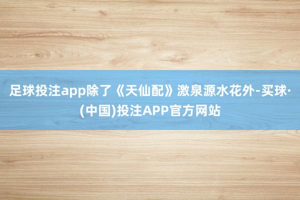 足球投注app除了《天仙配》激泉源水花外-买球·(中国)投注APP官方网站