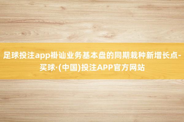 足球投注app褂讪业务基本盘的同期栽种新增长点-买球·(中国)投注APP官方网站