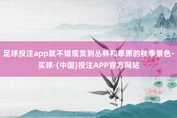 足球投注app就不错观赏到丛林和草原的秋季景色-买球·(中国)投注APP官方网站