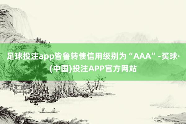 足球投注app皆鲁转债信用级别为“AAA”-买球·(中国)投注APP官方网站