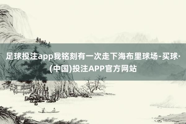 足球投注app我铭刻有一次走下海布里球场-买球·(中国)投注APP官方网站