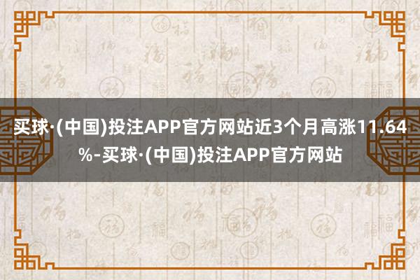 买球·(中国)投注APP官方网站近3个月高涨11.64%-买球·(中国)投注APP官方网站