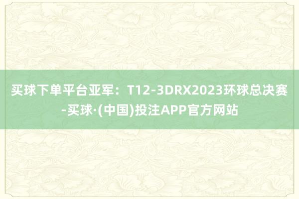 买球下单平台亚军：T12-3DRX2023环球总决赛-买球·(中国)投注APP官方网站