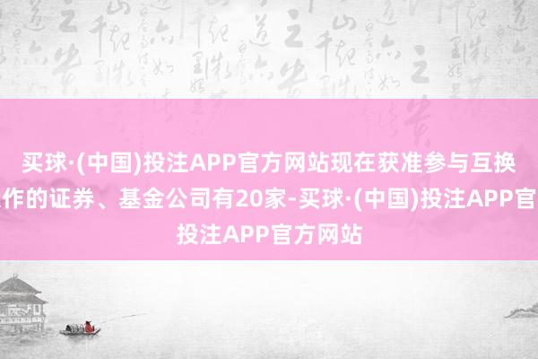 买球·(中国)投注APP官方网站现在获准参与互换便利操作的证券、基金公司有20家-买球·(中国)投注APP官方网站