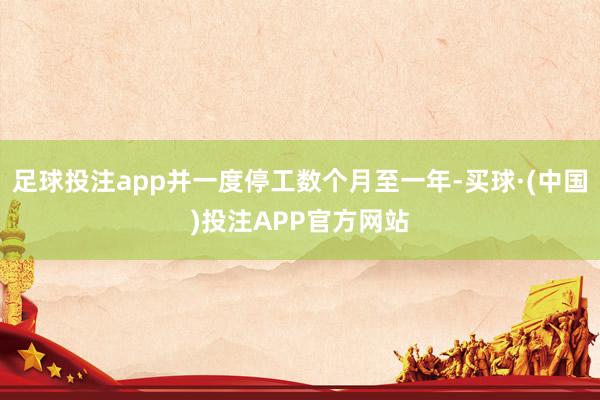 足球投注app并一度停工数个月至一年-买球·(中国)投注APP官方网站