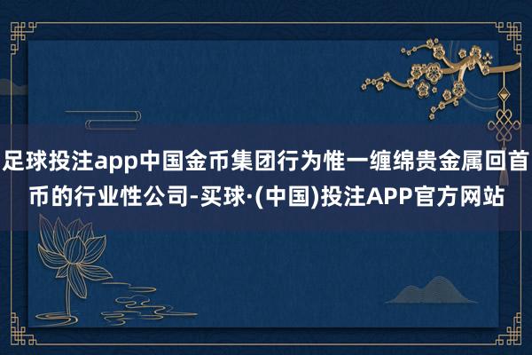 足球投注app中国金币集团行为惟一缠绵贵金属回首币的行业性公司-买球·(中国)投注APP官方网站