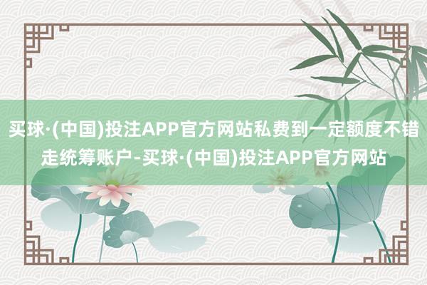 买球·(中国)投注APP官方网站私费到一定额度不错走统筹账户-买球·(中国)投注APP官方网站