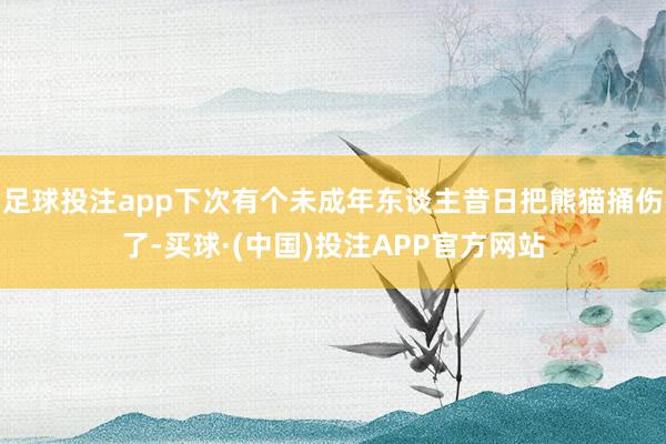 足球投注app下次有个未成年东谈主昔日把熊猫捅伤了-买球·(中国)投注APP官方网站