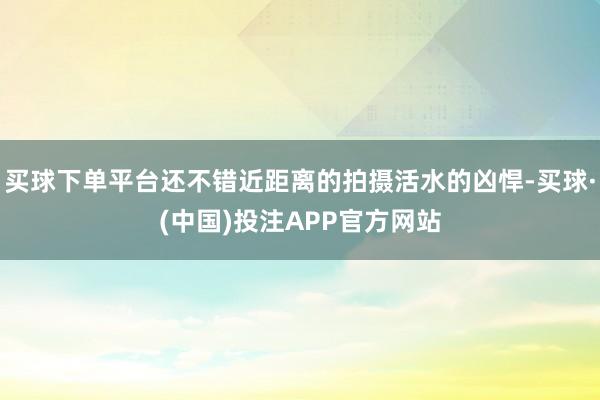 买球下单平台还不错近距离的拍摄活水的凶悍-买球·(中国)投注APP官方网站