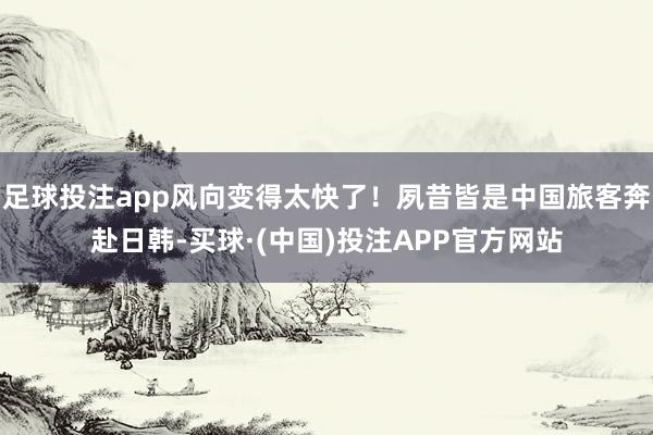 足球投注app风向变得太快了！夙昔皆是中国旅客奔赴日韩-买球·(中国)投注APP官方网站