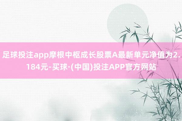 足球投注app摩根中枢成长股票A最新单元净值为2.184元-买球·(中国)投注APP官方网站