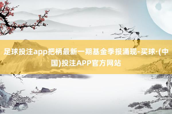 足球投注app把柄最新一期基金季报涌现-买球·(中国)投注APP官方网站