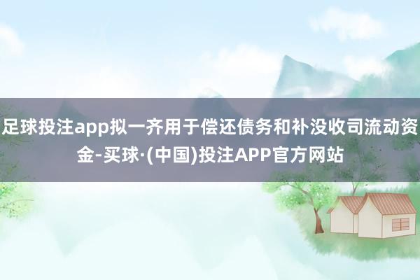 足球投注app拟一齐用于偿还债务和补没收司流动资金-买球·(中国)投注APP官方网站