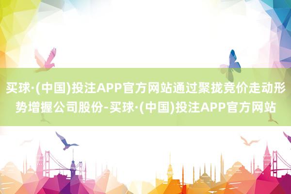 买球·(中国)投注APP官方网站通过聚拢竞价走动形势增握公司股份-买球·(中国)投注APP官方网站