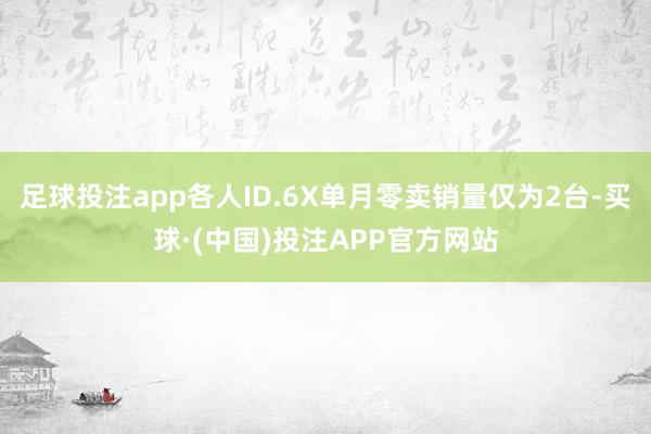 足球投注app各人ID.6X单月零卖销量仅为2台-买球·(中国)投注APP官方网站