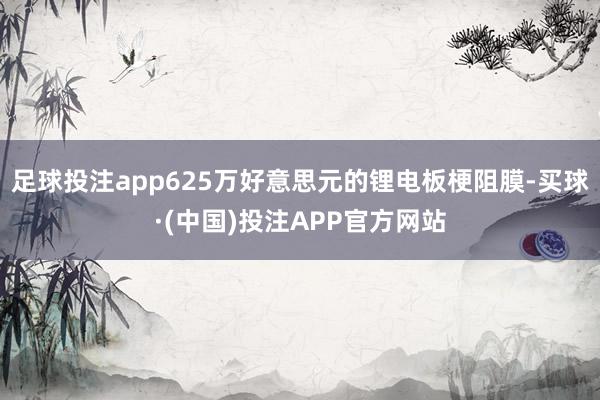 足球投注app625万好意思元的锂电板梗阻膜-买球·(中国)投注APP官方网站