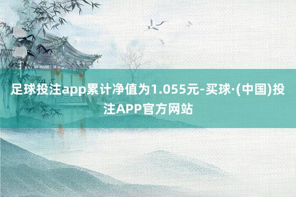 足球投注app累计净值为1.055元-买球·(中国)投注APP官方网站