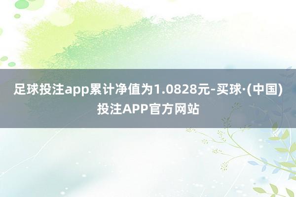 足球投注app累计净值为1.0828元-买球·(中国)投注APP官方网站