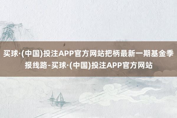 买球·(中国)投注APP官方网站把柄最新一期基金季报线路-买球·(中国)投注APP官方网站