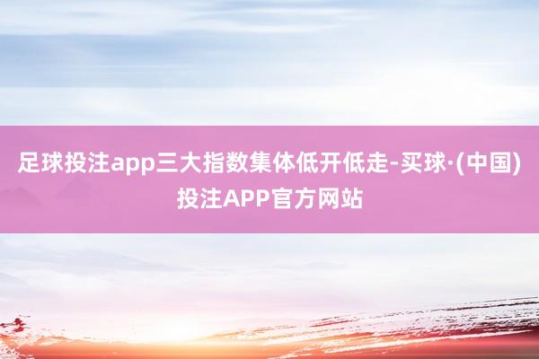 足球投注app三大指数集体低开低走-买球·(中国)投注APP官方网站