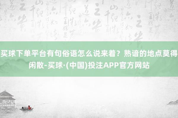 买球下单平台有句俗语怎么说来着？熟谙的地点莫得闲散-买球·(中国)投注APP官方网站