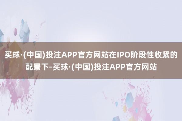 买球·(中国)投注APP官方网站在IPO阶段性收紧的配景下-买球·(中国)投注APP官方网站