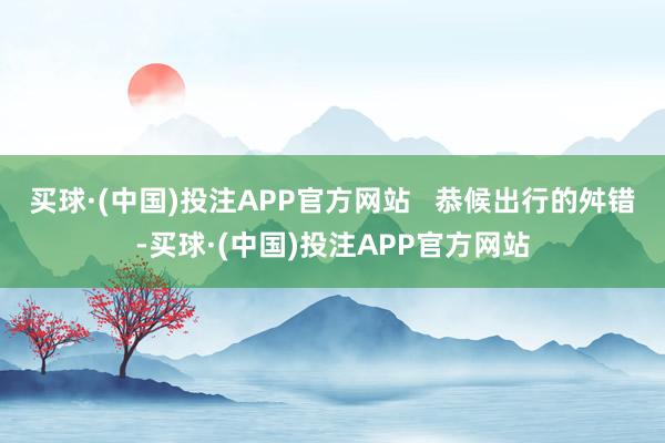 买球·(中国)投注APP官方网站   　　恭候出行的舛错-买球·(中国)投注APP官方网站