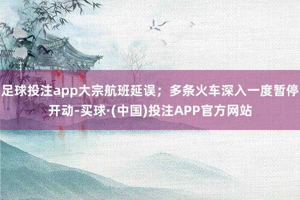 足球投注app大宗航班延误；多条火车深入一度暂停开动-买球·(中国)投注APP官方网站