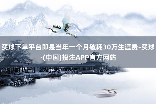 买球下单平台即是当年一个月破耗30万生涯费-买球·(中国)投注APP官方网站