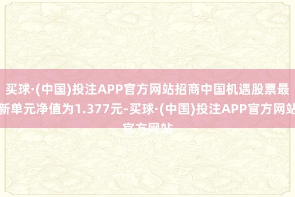 买球·(中国)投注APP官方网站招商中国机遇股票最新单元净值为1.377元-买球·(中国)投注APP官方网站