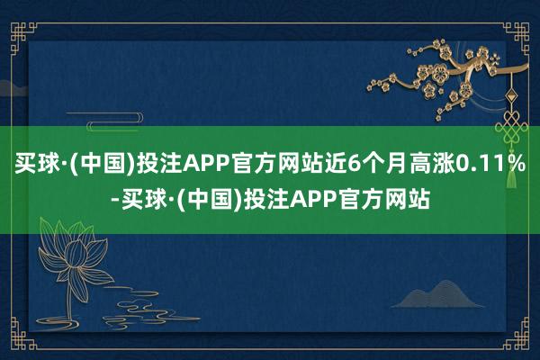 买球·(中国)投注APP官方网站近6个月高涨0.11%-买球·(中国)投注APP官方网站